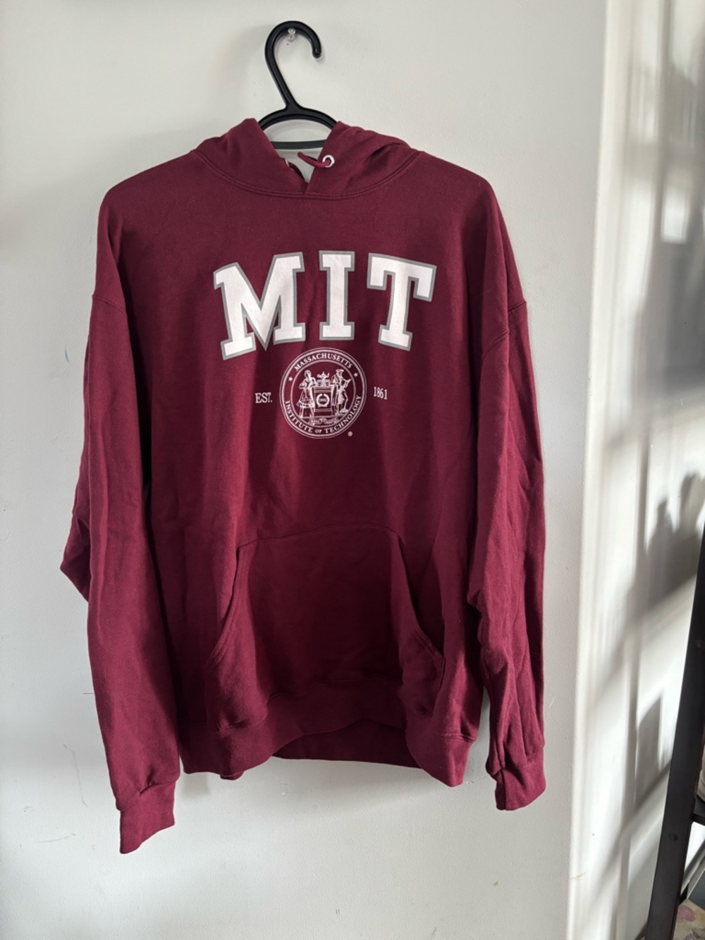 MIT Massachusetts Institute of Technology Hoodie Sweater Jerzees sz Large GUC